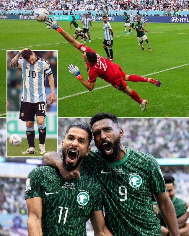 1669117618151051404.jpg 1669117608.jpg